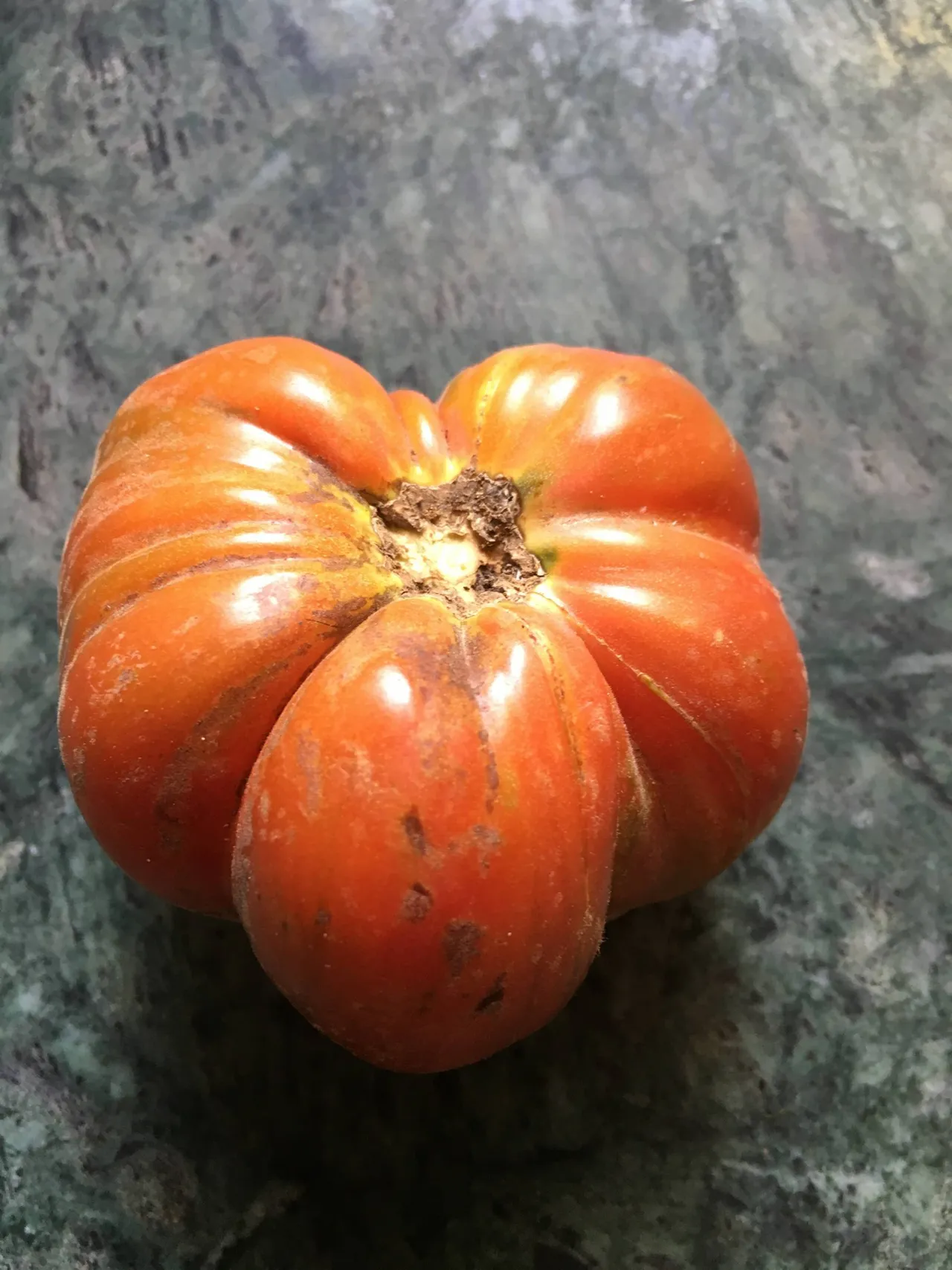 Alimentation Galerie Tomate