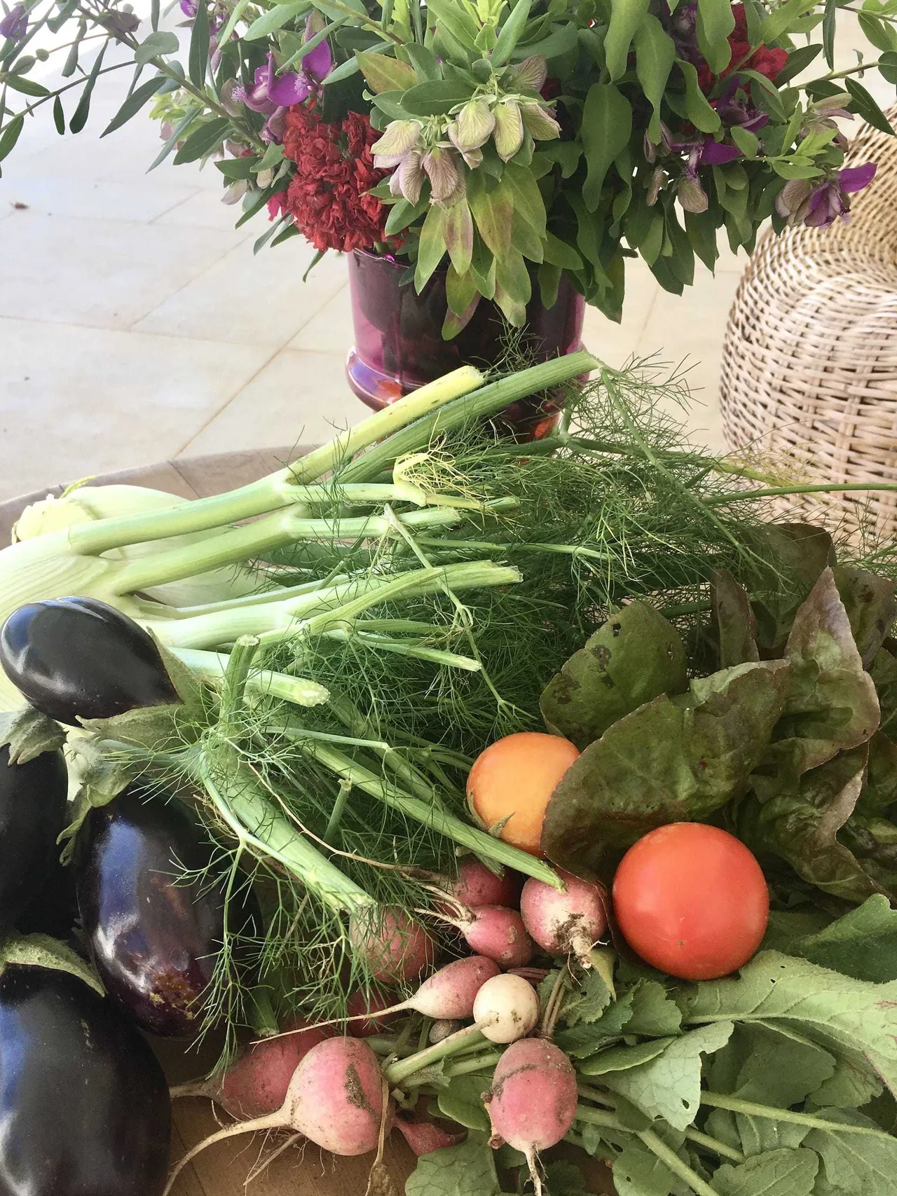 Fenouil Potager