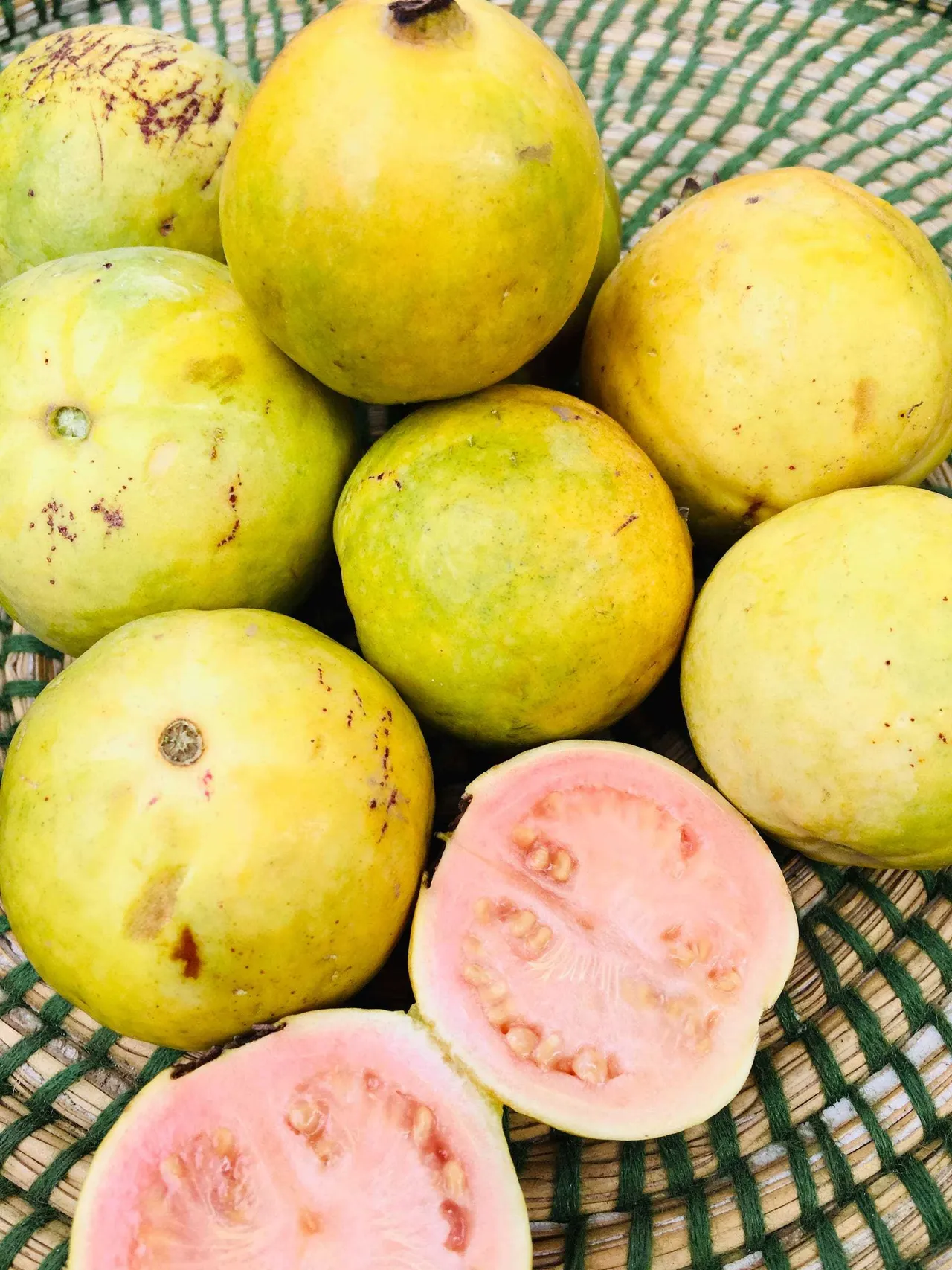 Goyave Fruit