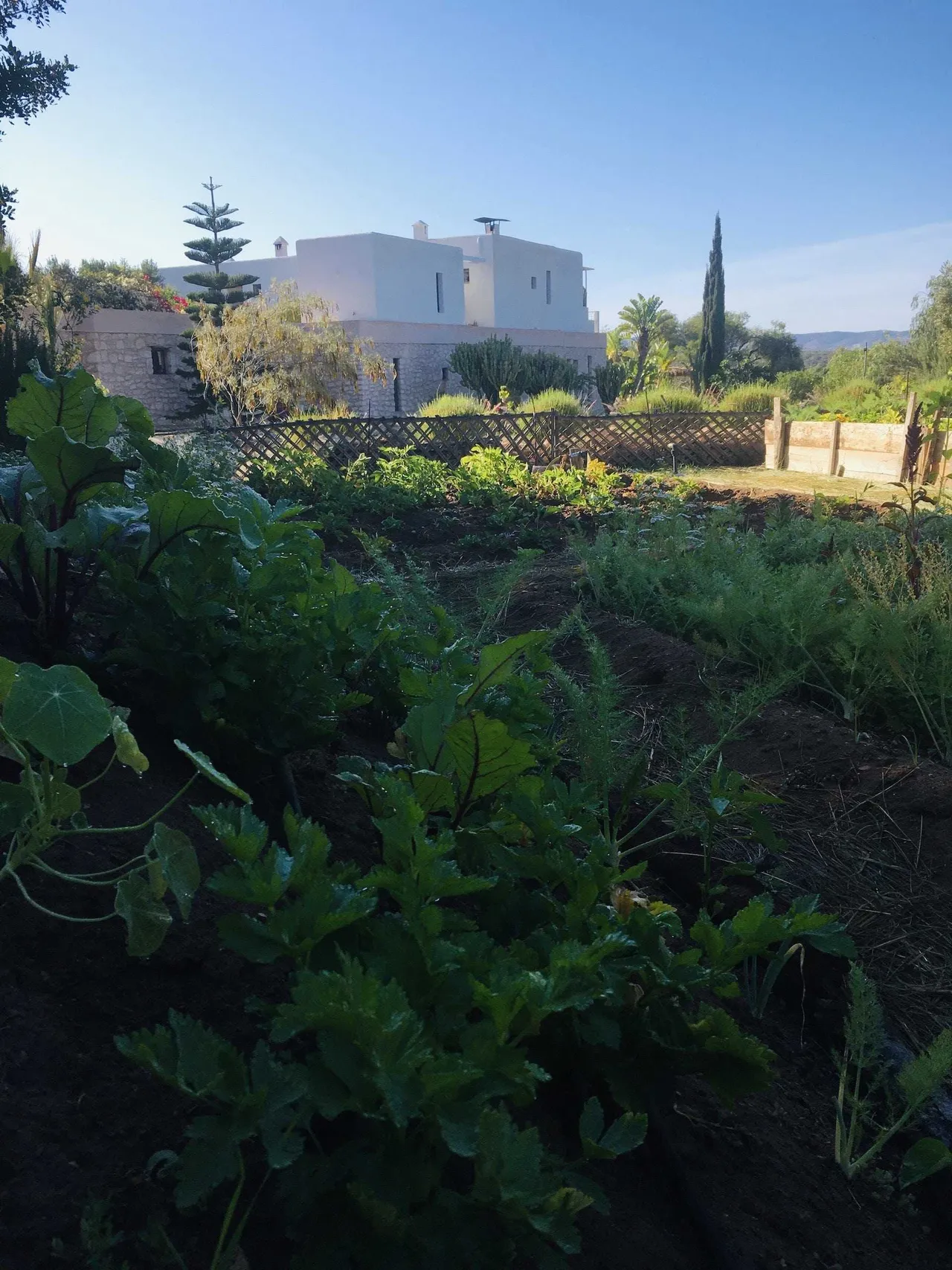 potager permaculture